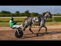 Harness Racing Tir Prince  6 JUNE 2023