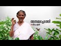 പപ്പായ തോരൻ ഇങ്ങനെ ഉണ്ടാക്കി നോക്കൂ | Papaya Thoran Easy recipe | Annamma Chedathi Special