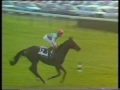 1986 Trusthouse Forte Prix de l'Arc de Triomphe