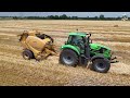 Wheat Harvest 2024 near Greenfield Indiana