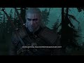 Alles FIRST TRY | Witcher: Wild Hunt | Let's Play | #4