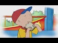 Caillou Hurts His Knees | Caillou Cartoon