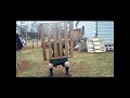 Working Out with a Wooden Pallet