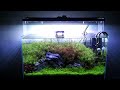 Aquascape Dutchstyle Seiryu