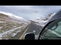 Yaks at Khunjerab