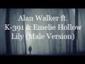 Alan Walker ft. K-391 & Emelie Hollow - Lily (Male Version)
