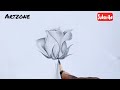 Rose pencil drawing || art zone ||