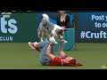 Crufts 2022 Dog Dancing Freestyle Routine - Jen and Daiquiri - Canada