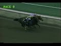 Ferdinand vs. Broad Brush - 1987 Santa Anita Handicap