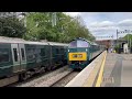 D1015 Western Champion - ‘One Way Wizzo’ passing Twyford - 14/04/24