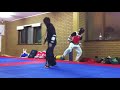 Taekwondo Basics [HQ]