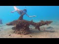 Snorkel Experience with Moray Eel and Octopus | Phil Foster Park
