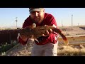This Desert Bridge Holds BIG Fish? (Very Unexpected)