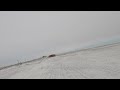 Paramotor flight low over the snow