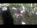 Horse Vlog S02E04