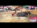 Katapadi Beedu kambala Final Race 2022/23