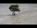 'TSUNAMI-LIKE WAVES' Hit Village in Indonesia (Tidal Bore) | Kampar River (Sumatra)