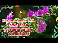 🍓🍥 PARA TI 🪁🥟BELLA REFLEXION PARA TI🌼🐓🌻MENSAJE DE BUENOS DIAS