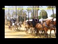 Jerez Horse Fair: Day-time Fun - Jerez de la Frontera, Spain