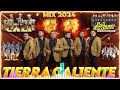 Tierra Caliente Mix Exitos 🎶 Grandes Exitos 2024 🔥 Tierra Cali / Los Rayos / Alfa 7