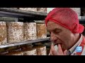 How It's Made: Blue Stilton Cheese