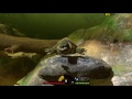 Giant Swamp Lurker Snapping Turtle! - Huge Swamp Update - Feed and Grow: Fish Gameplay