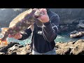 Rock Fishing The Oregon Coast, Lingcod FISHING HEAVEN!!