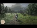 Red Dead Redemption 2_20240614201945