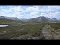 Shaky video from the back of the reindeer, the Tukha reindeer herders, clip 3