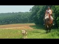 May trailride horse schooling, bridleless