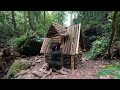 Survival and build shelter -Cara Hidup di Hutan