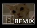 Dilemma Cat Dubstep Remix