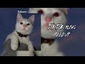 TIK TOK Playlist для твоего вайба (SPEED UP)