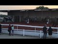 Assiniboia Downs paddock August 28 2023