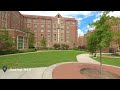 Florida State University [4K] Walking Tour (2022)