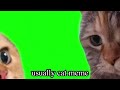 I tried recording a cat meme