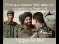 when nagas talk in hindi.