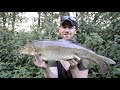 Rolling Baits For Big Barbel