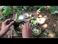 Miniature Eggplant Salad  | Mini Food | | Mini Cooking | Miniature Cooking |ASMR