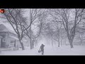 Kar Fırtınası Sesi, Rüzgar Sesi, Rahatlatıcı Doğa Sesleri, Blizzard Howling Wind, Storm Sounds