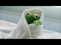 Juice Wrld - Lucid Dreams | Kermit Edit