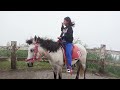 Let's Ride the horse 🐴🐎for $0.55 @Tagaytay city Philippines 🇵🇭#shorts #viral #viralvideo