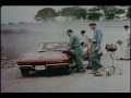 The Corvette Stingray: Biography of a Sports Car