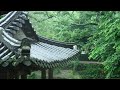 Heavy Rain Sounds on the Eaves of an Old Hanok - White Noise that Calms the Mind and Induces Sleep.