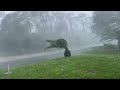 Riding out Cat. 4 Hurricane Ian September 2022-Port Charlotte, FL Charlotte County