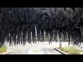 My Favorite Car Wash #fun #entertainment #music #foryou #viral #trending