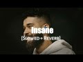 Insane - (Slowed + Reverb) ft. Ap Dhillon | Namya_editz