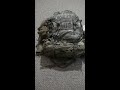 Molle II packs. How to attach the assault pack to the ruck.