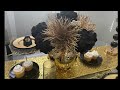 How to go from Tablescape to Glamscape: Black and Gold Birthday