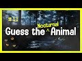Guess the Animal Sound Game | 12 Nocturnal Animal Sounds Quiz